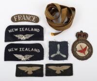 New Zealand Volunteer in Royal Air Force Insignia