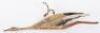 Great War French Aviation Squadron Escadrille 3 &ldquo;The Storks&rdquo; Wooden Commemorative