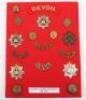 Board of Badges Relating to The Devonshire Regiment