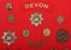 Board of Badges Relating to The Devonshire Regiment - 2