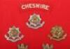 Board of Badges Relating to the Cheshire Regiment - 3