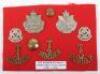 Badges of the Territorial Battalions The Border Regiment