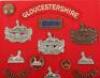 Board of Badges Relating to the Gloucestershire Regiment - 3