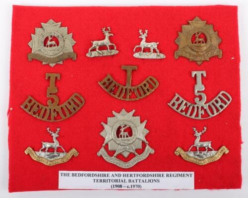 Bedfordshire & Hertfordshire Territorial Battalion Badges