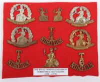 Badges of the Territorial Battalions The Norfolk Regiment