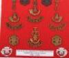 Badges of the Territorial Battalions of the Duke of Cornwall Light Infantry - 3