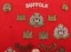 Board of Badges for the Suffolk Regiment & Cambridgeshire Regiment - 3