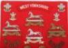 Board of Badges for the West Yorkshire Regiment - 2