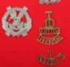 9th & 10th Territorial Battalion Kings Liverpool Regiment Badges - 3