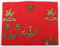 Breckonshire Territorial Battalion South Wales Borderers Badges