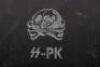 Very Unusual Waffen-SS Propaganda Kompanie Portable Gramophone - 4