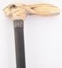 ^ Walking stick 33” with ivory handle finely carved as a rabbit’s head - 2