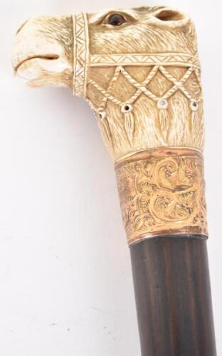 ^ Walking stick 34.25” c.1900, ivory handle carved as a camel’s head