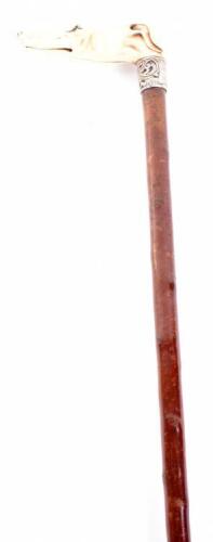 ^ Walking stick 33.5” with ivory handle carved as the head of a greyhound