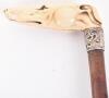 ^ Walking stick 33.5” with ivory handle carved as the head of a greyhound - 2