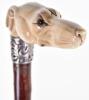 ^ Walking stick 33.5” with ivory handle carved as the head of a greyhound - 4