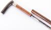Good male Malacca sword cane c.1900 - 3