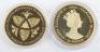 Westminster Mint 5oz Golden Jubilee silver and gold plate coin - 3