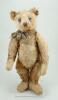 Rare Steiff tipped mohair Teddy bear, German 1920’s - 2