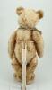 Rare Steiff tipped mohair Teddy bear, German 1920’s - 4