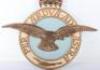 Large Fibreglass Emblem of the Royal Air Force by Glasdon Fibresign - 3