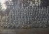 Fine WW1 Panorama Picture of Royal Air Force Officer Cadets in 1918 - 2