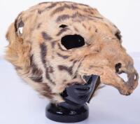 19th Century Tigers Head Headdress