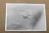 Private Photograph Album of Royal Air Force Aviation Interest 1930's / 1940’s - 9