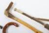 A group of walking canes and sticks, including a shark vertebrae stick, - 4
