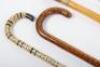 A group of walking canes and sticks, including a shark vertebrae stick, - 5