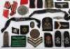 A mixed lot of WWII badges, cloth insignia, some reproduction - 2