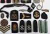 A mixed lot of WWII badges, cloth insignia, some reproduction - 3