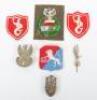 WW2 Free Polish Forces Badges and Insignia