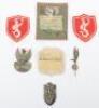 WW2 Free Polish Forces Badges and Insignia - 2