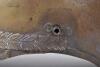 British 1871 Pattern Cavalry Troopers Helmet Shell - 7