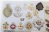 Selection of British Regimental Badges and Insignia - 3