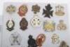 Two Display Boards of British Regimental Badges - 3