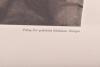 Large Framed Hoffmann Photograph of Adolf Hitler - 4