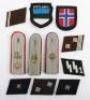 Grouping of Waffen-SS Cloth Insignia