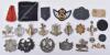 Selection of Various Regimental Badges and Insignia - 2