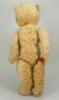 Golden mohair Teddy bear, English 1930s, - 3