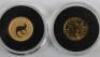 Two 1/20th oz fine gold coins - 2