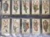 A large amount of cigarette cards and football cards - 2