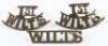 Victorian 1st Pattern Wiltshire Regiment Shoulder Title