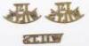 Victorian 1st Pattern Wiltshire Regiment Shoulder Title - 2