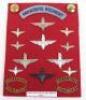 Parachute Regiment Badge and Insignia Grouping