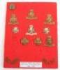 Grouping of Badges of the Wiltshire Regiment