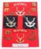 Badges and Insignia of the Seaforth Highlanders