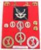 Grouping of Badges and Insignia of the Territorial Battalions of the Seaforth Highlanders