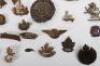 Quantity of Mixed British Military Badges and Insignia - 2